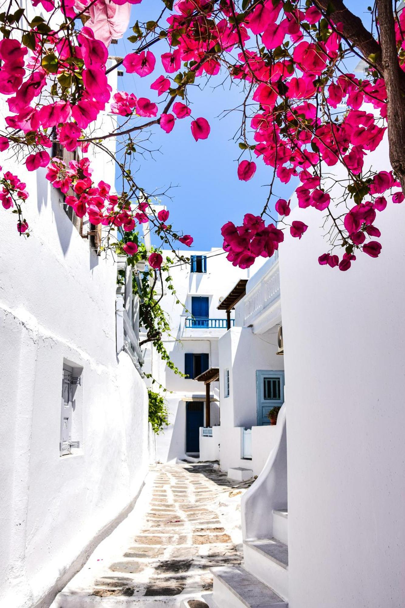 Aniko Suites White Alley Mykonos Town Exteriör bild